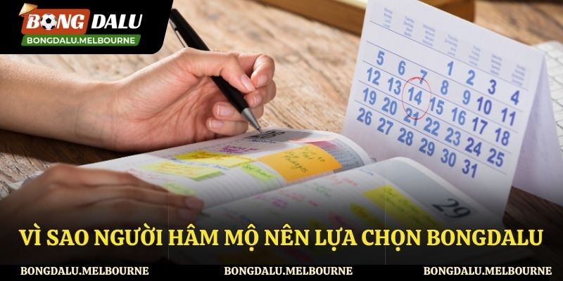 Lý do nên lựa chọn Bongdalu để theo dõi lịch thi đấu