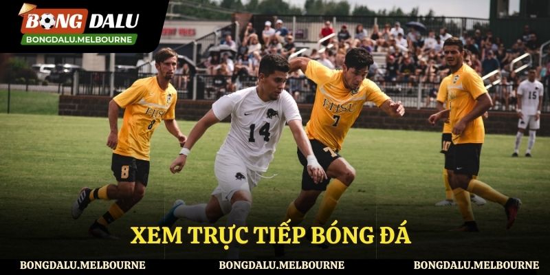 Xem bóng đá trực tiếp hoàn toàn miễn phí